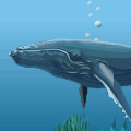 Whales and Dolphins screensaver